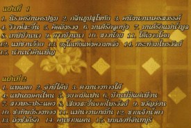 ไพรวัลย์ ลูกเพชร - ไพรวัลย์ ฮิตโดนใจ VCD1005-web2